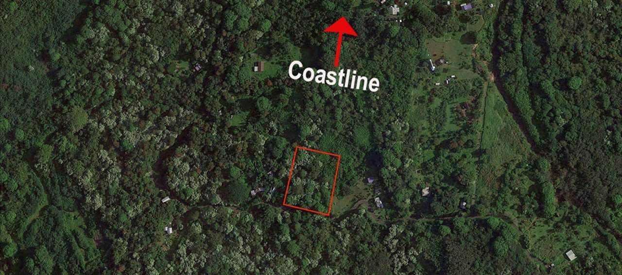 Nahiku Rd - Photo 1