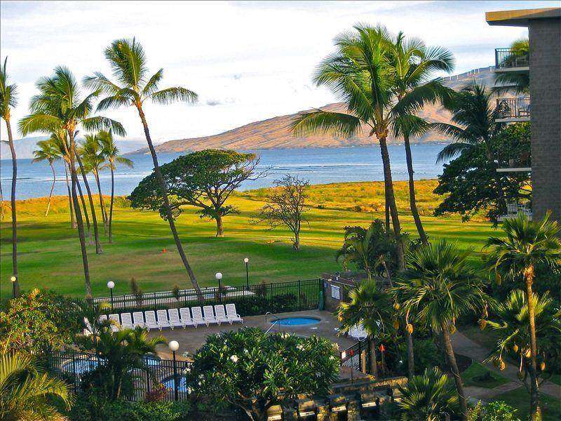 938 Kihei Rd - Photo 1