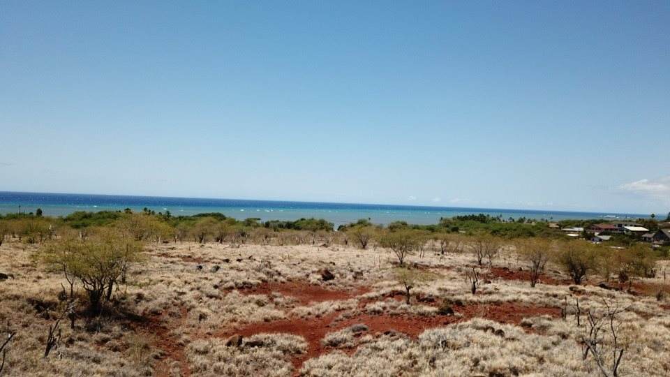 0 Kamehameha Hwy - Photo 1