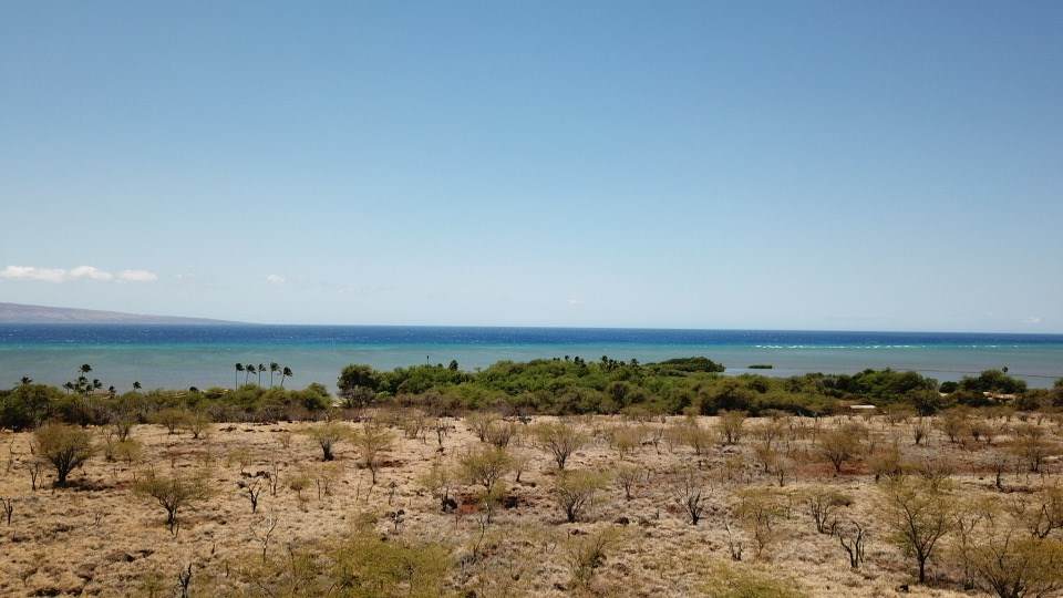 0 Kamehameha Hwy - Photo 1