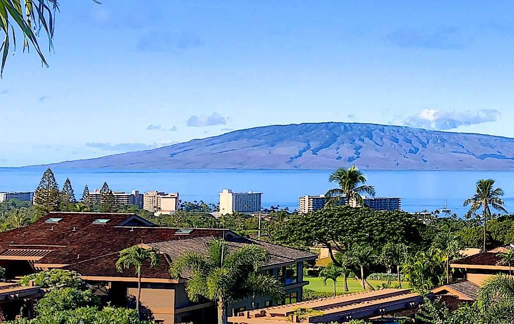 50 Puu Anoano St - Photo 1