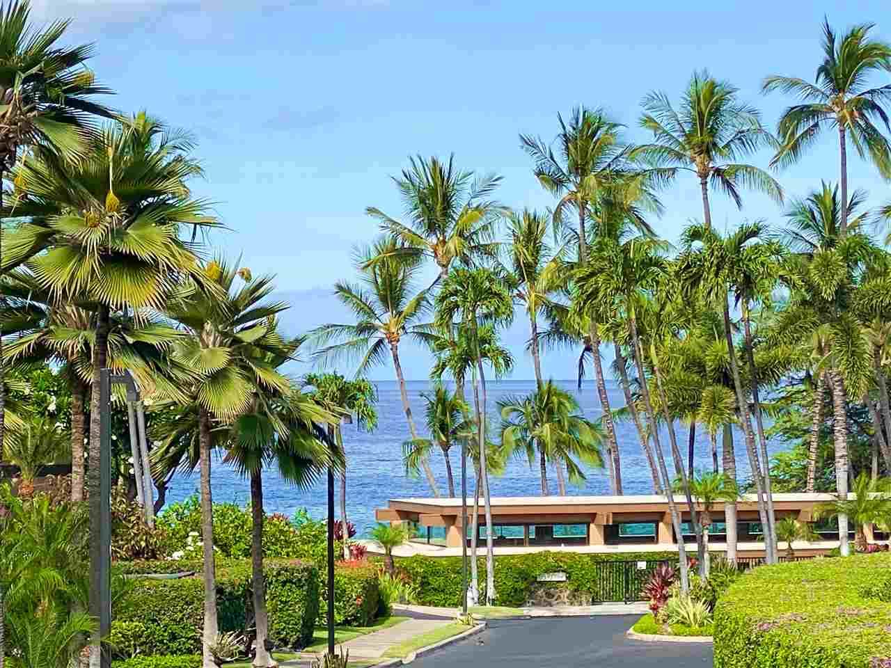 3600 Wailea Alanui Dr - Photo 1