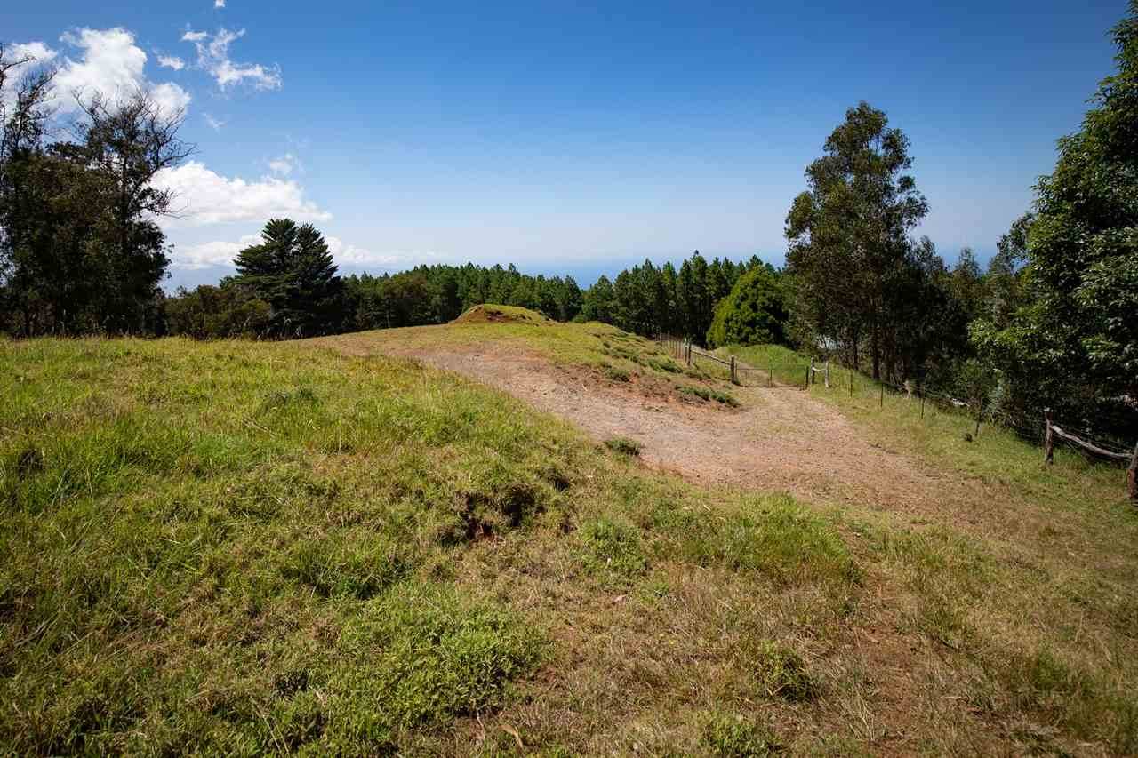 74 Alaluana Rd - Photo 1