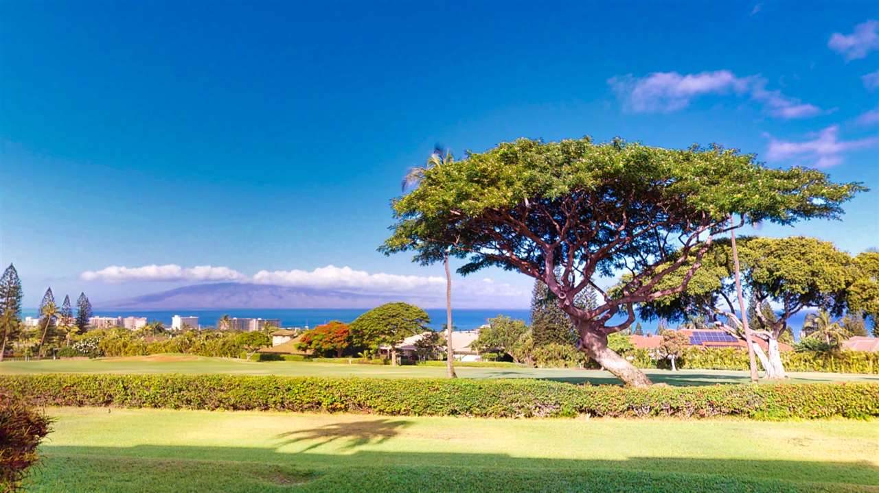 50 Puu Anoano St - Photo 1