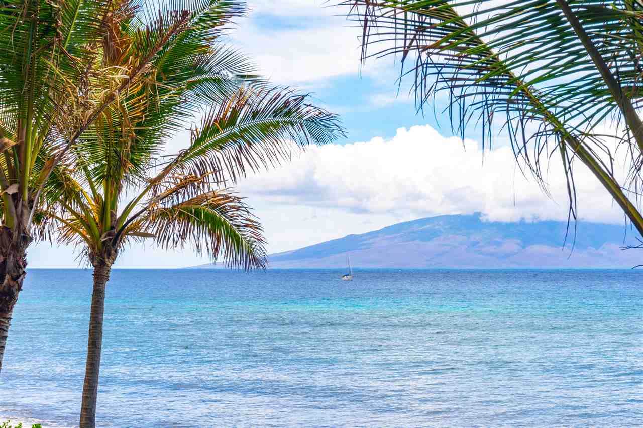 110 Kaanapali Shores Pl - Photo 1