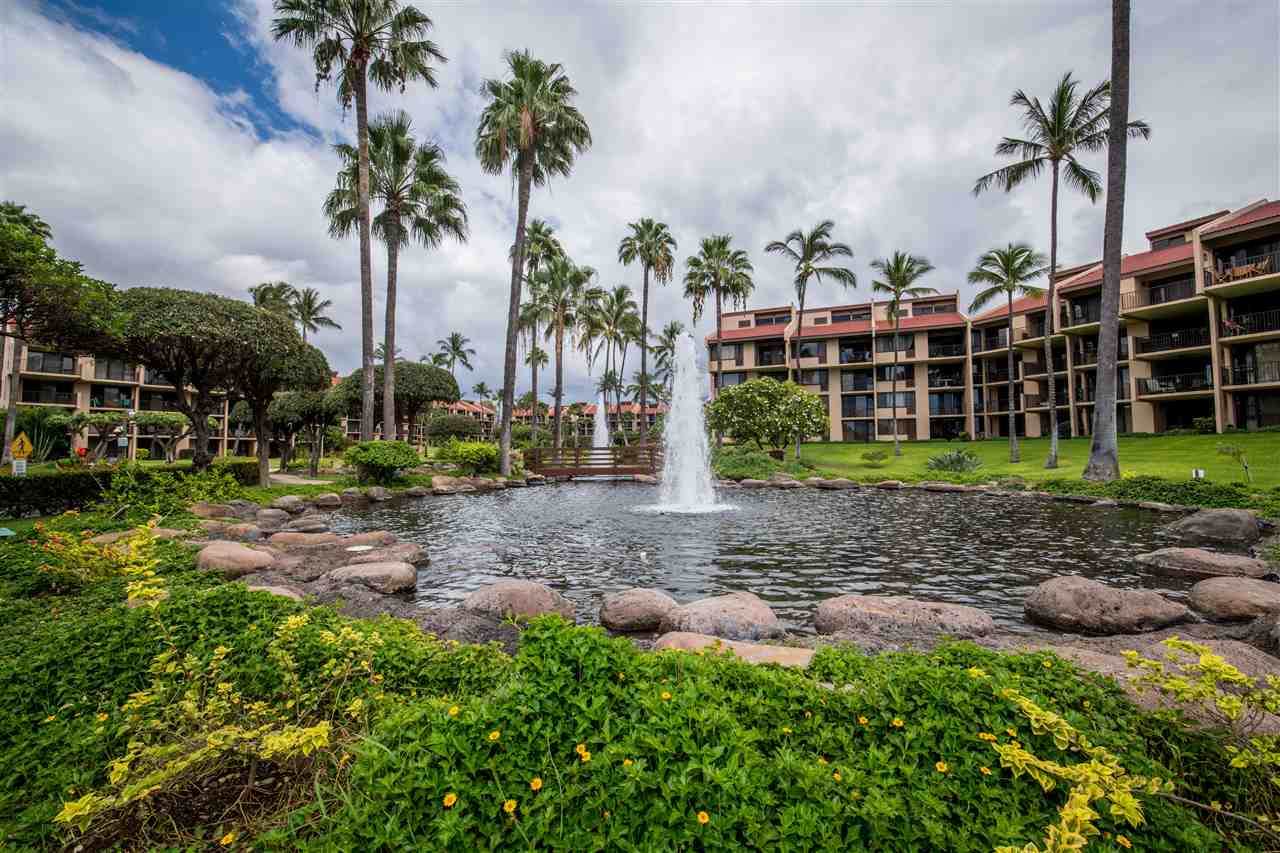 2695 Kihei Rd - Photo 1