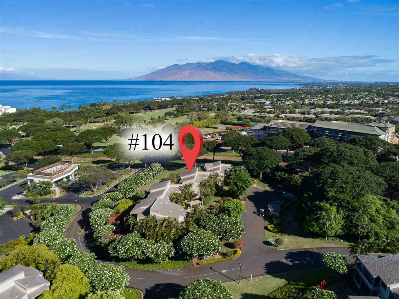 10 Wailea Ekolu Pl - Photo 1