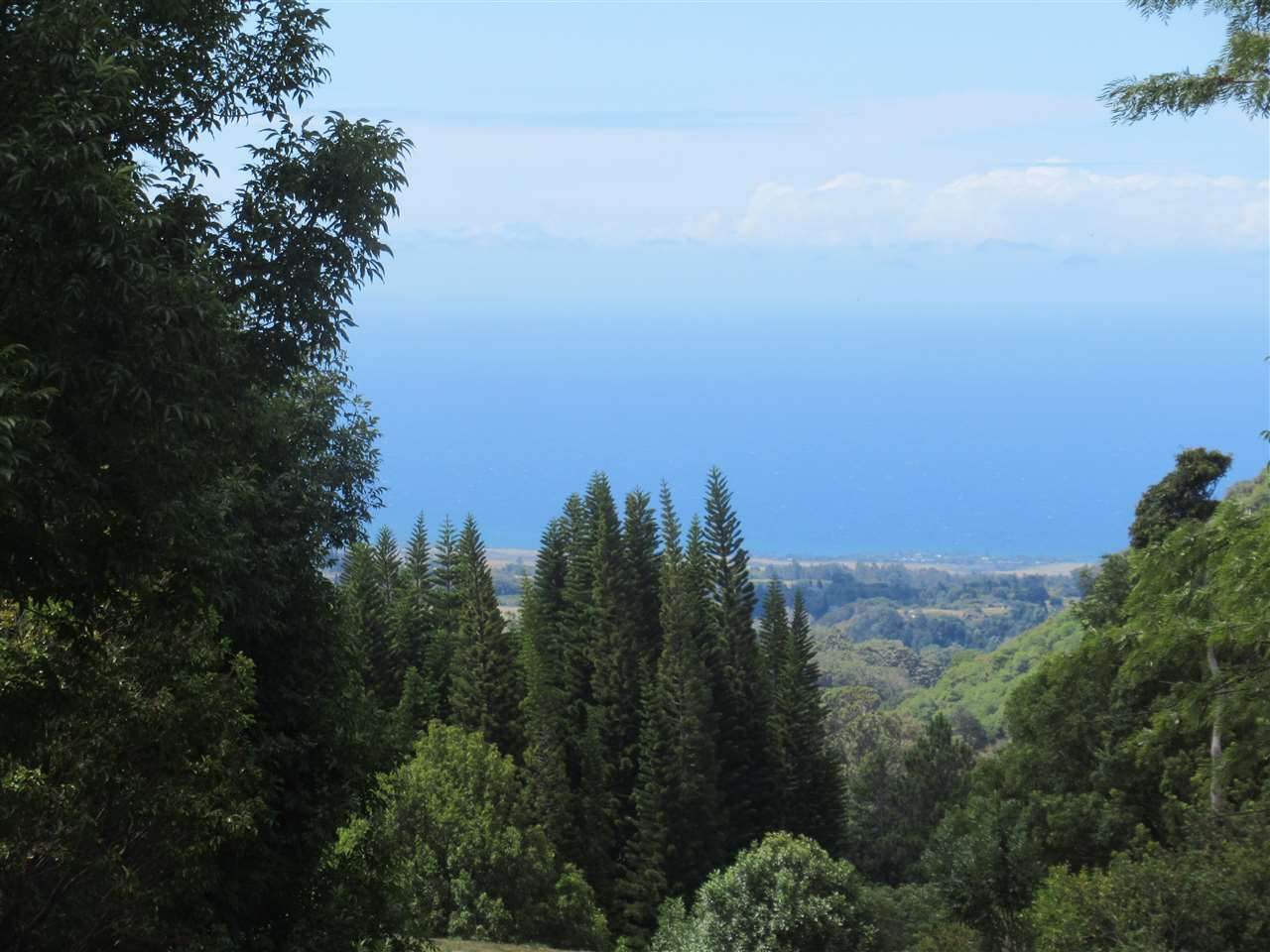 0 Kahakapao Rd - Photo 1