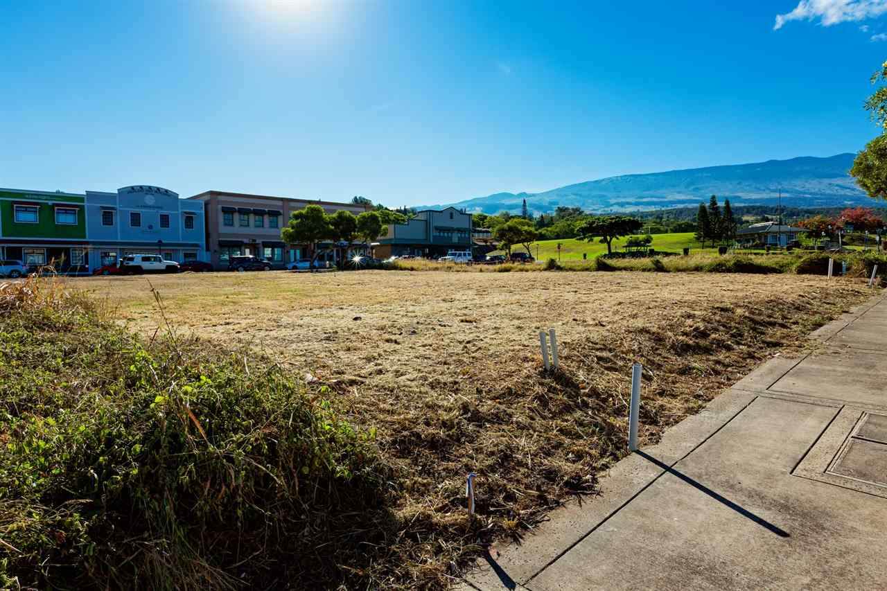 45 Kupaoa St - Photo 1