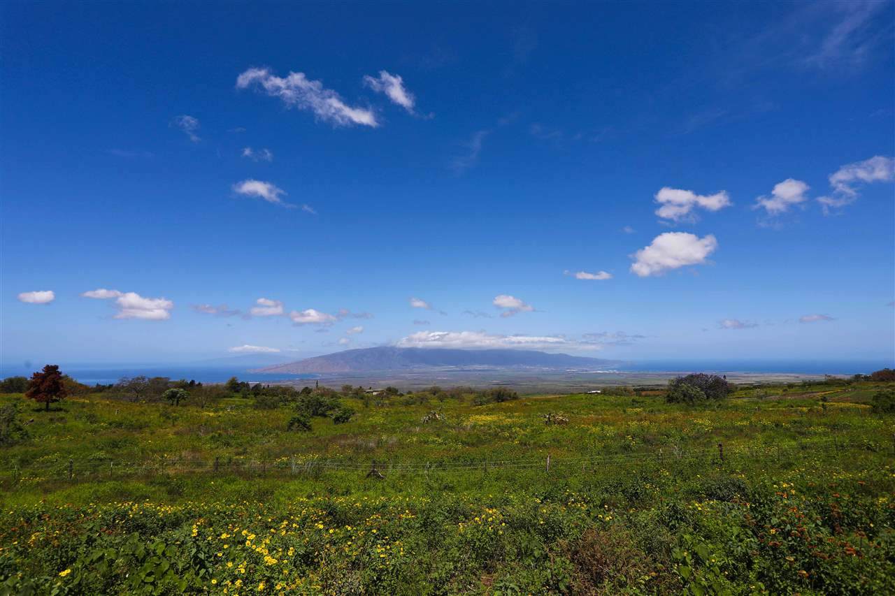 650 Calasa Rd - Photo 1