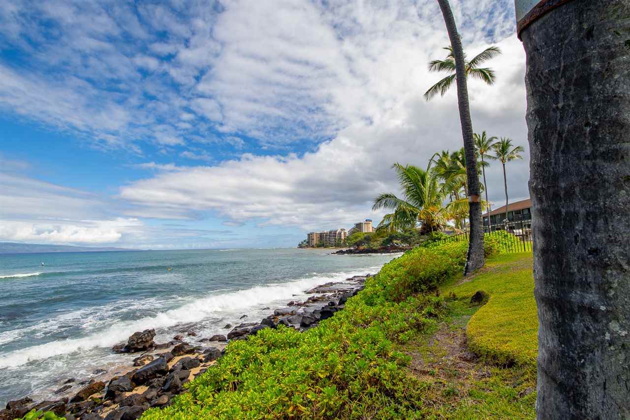 4095 Lower Honoapiilani Rd - Photo 1