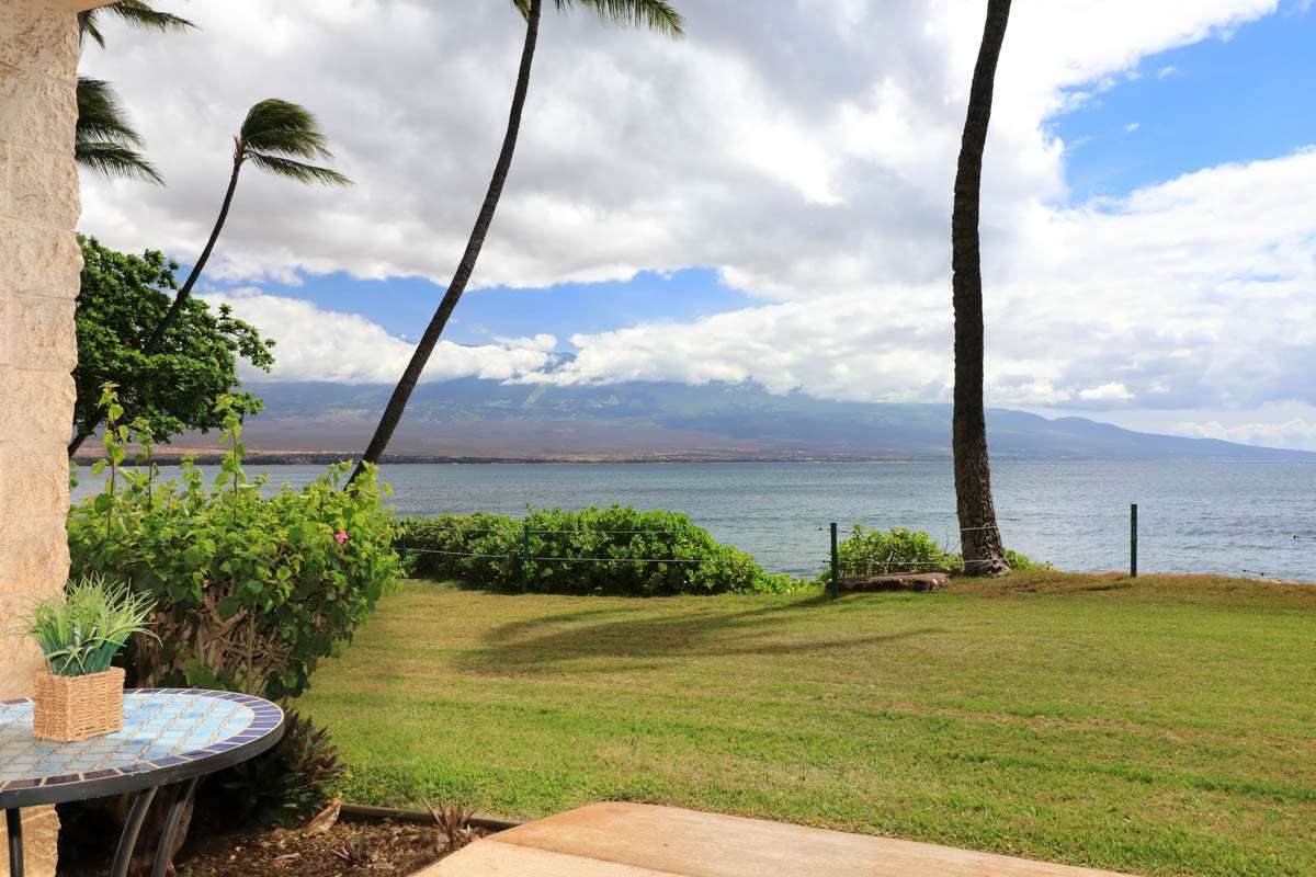 250 Hauoli St - Photo 1