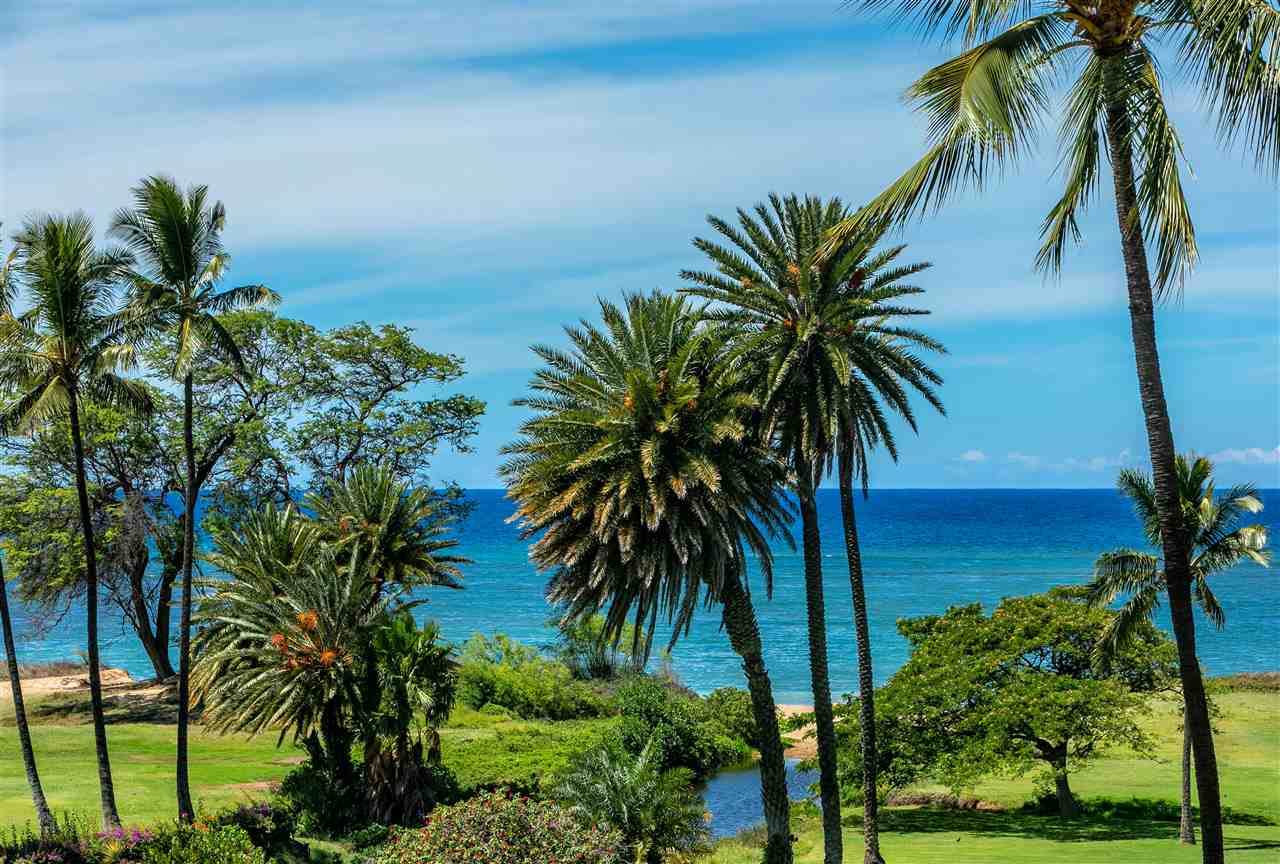 938 Kihei Rd - Photo 1