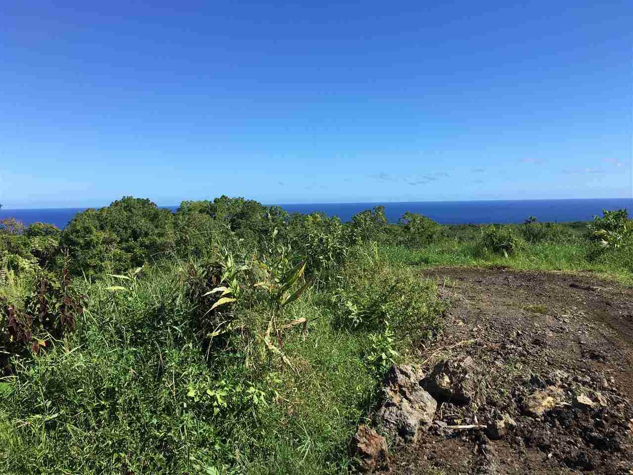 2473 Hana Hwy - Photo 1