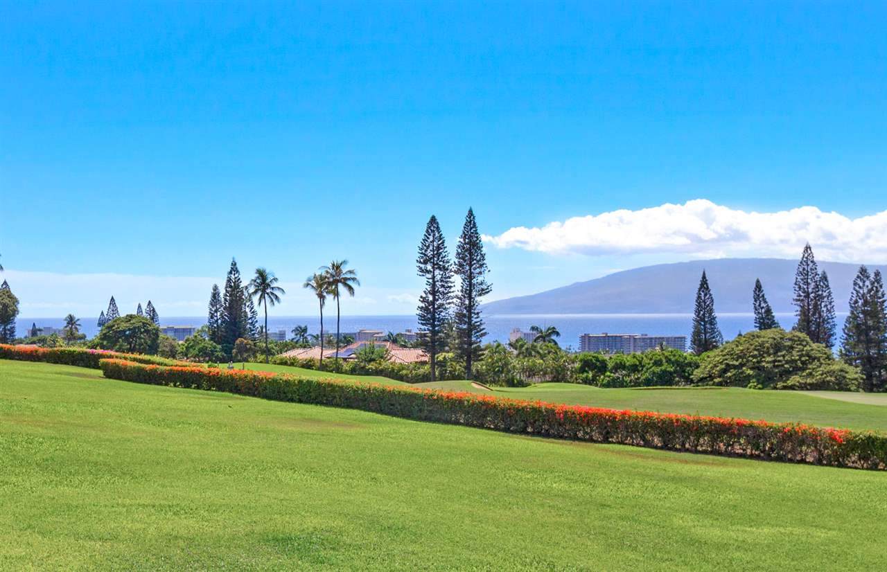 50 Puu Anoano St - Photo 1