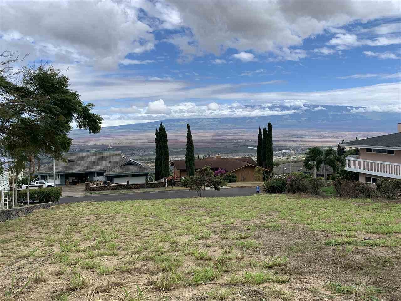 548 Hiilei Pl - Photo 1