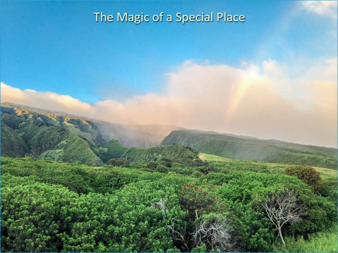 Kaupo Gap Rd - Photo 1