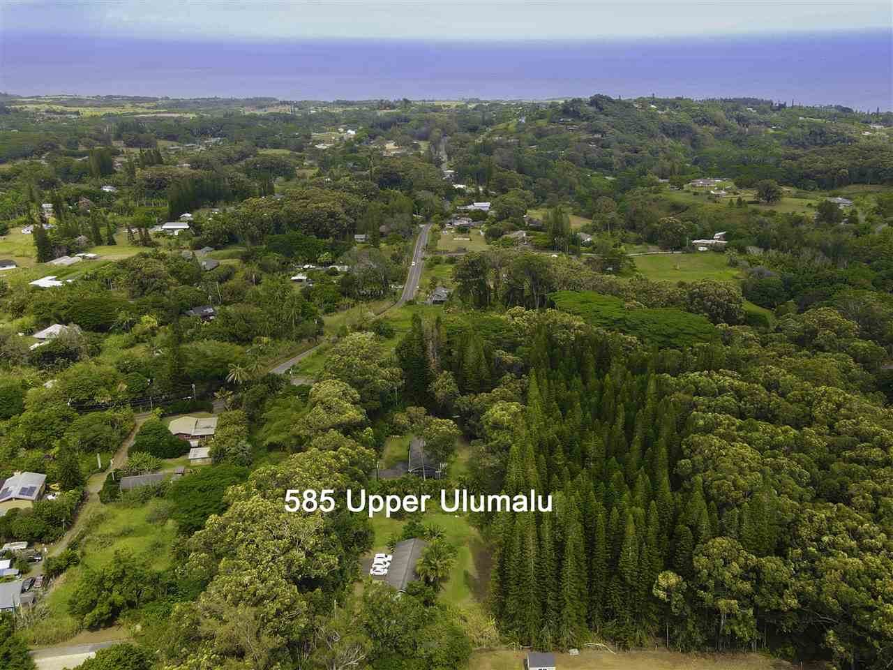 585 Upper Ulumalu Rd - Photo 1