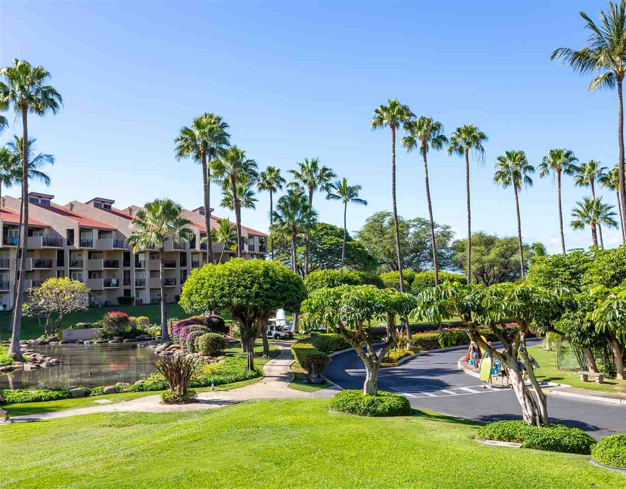 2695 Kihei Rd - Photo 1