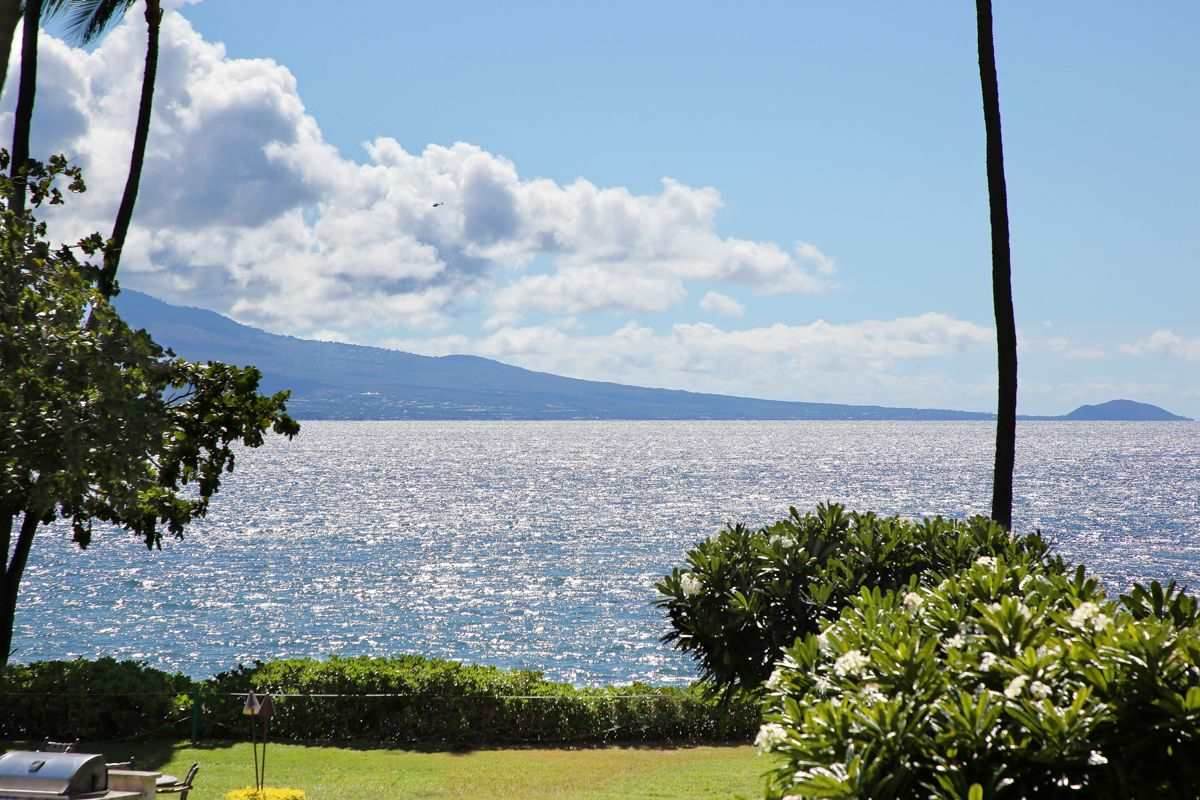 250 Hauoli St - Photo 1