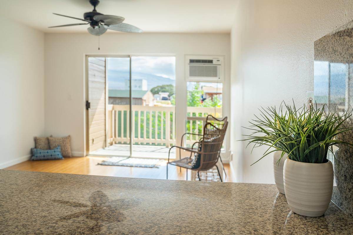 480 Kenolio Rd - Photo 1