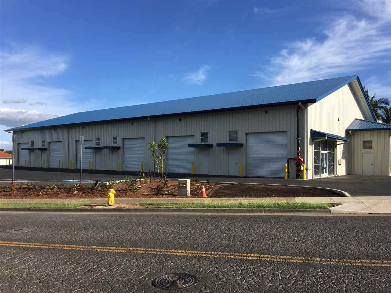 1331 Eha St - Photo 1