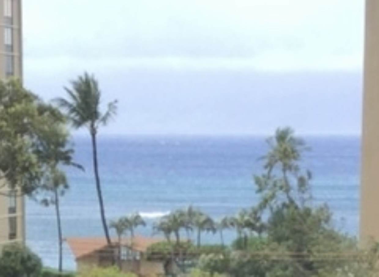 4310 Lower Honoapiilani Dr - Photo 1