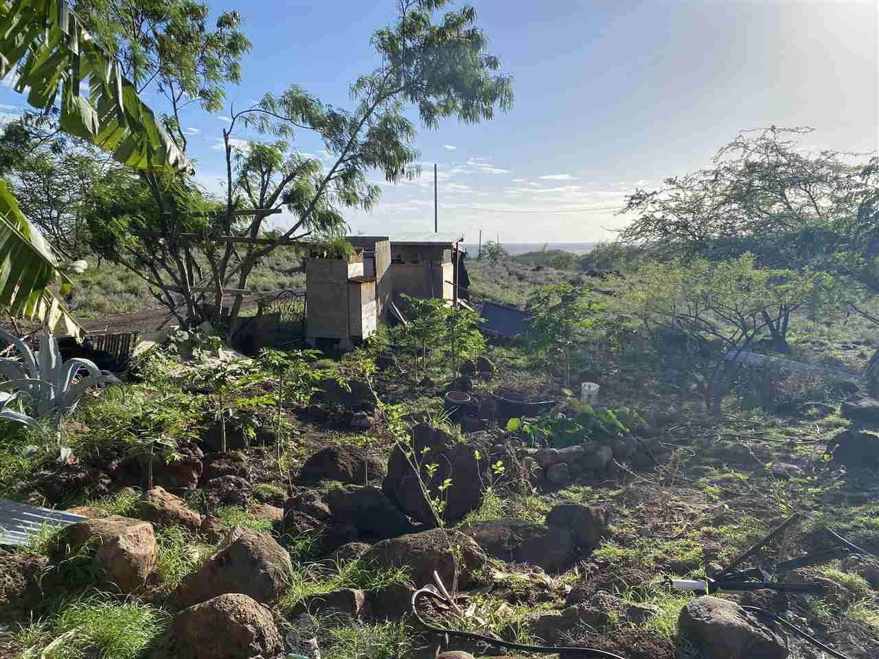 87 Opua Pl - Photo 1