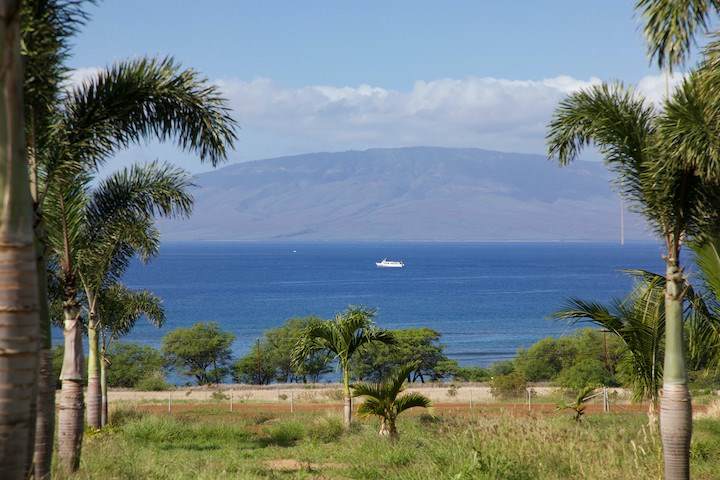 150 Kai Hele Ku St - Photo 1