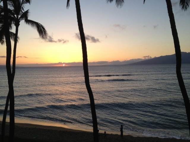 3875 Lower Honoapiilani Rd - Photo 1