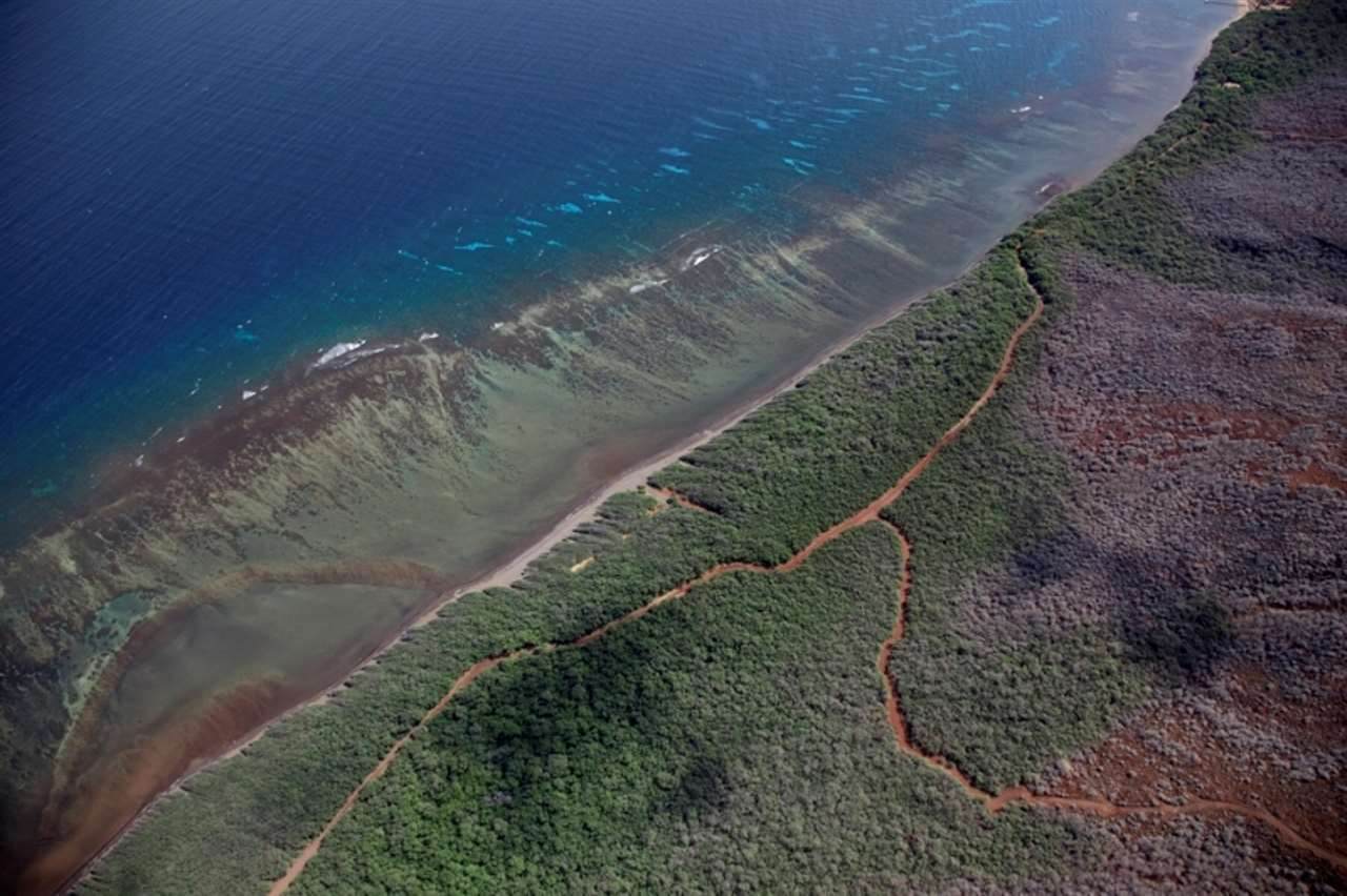 0000 Keomuku Rd - Photo 1