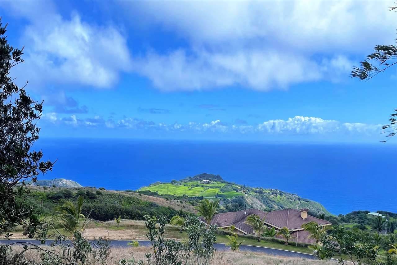 66 Hulumanu Pl - Photo 1