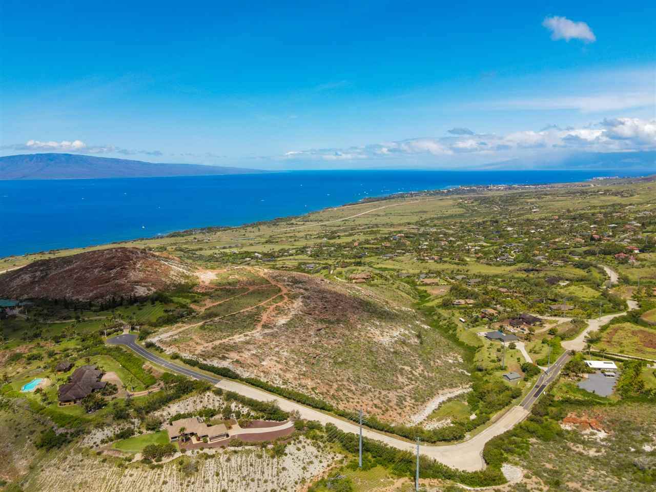 426 Wailau Pl - Photo 1