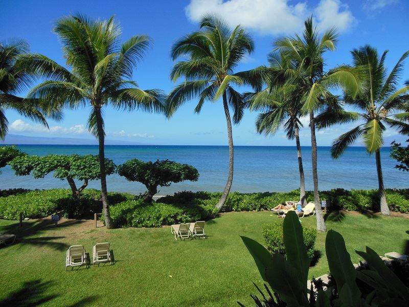 4299 Lower Honoapiilani Rd - Photo 1