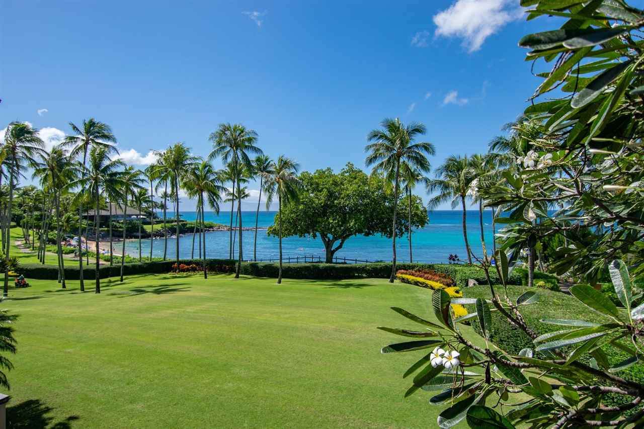 36 Coconut Grove Ln - Photo 1