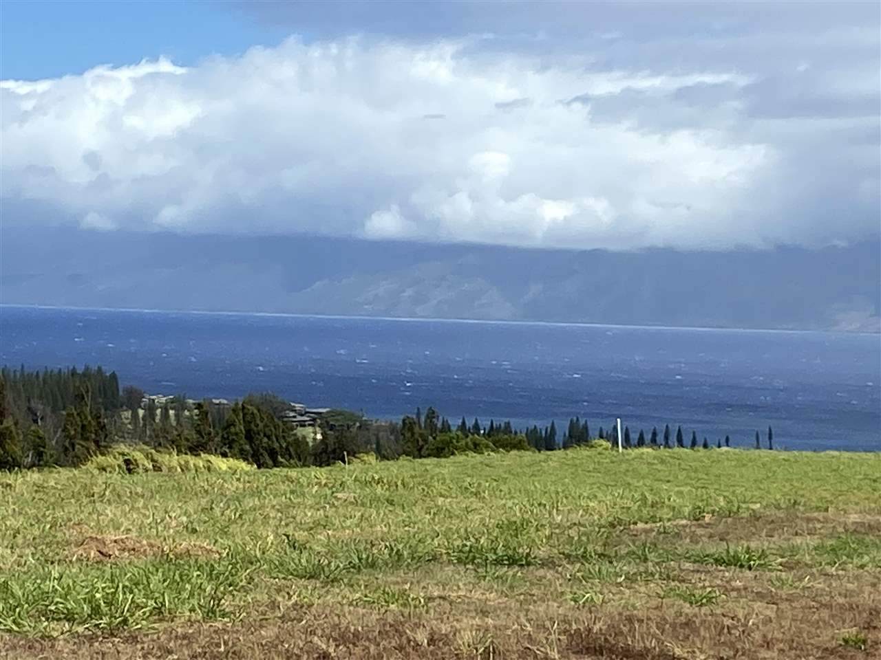 600 Mahana Ridge St - Photo 1