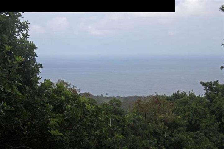 0 Hwy 31 Hwy - Photo 1