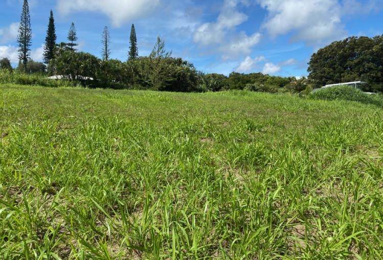 98 Kaupakalua Rd - Photo 1