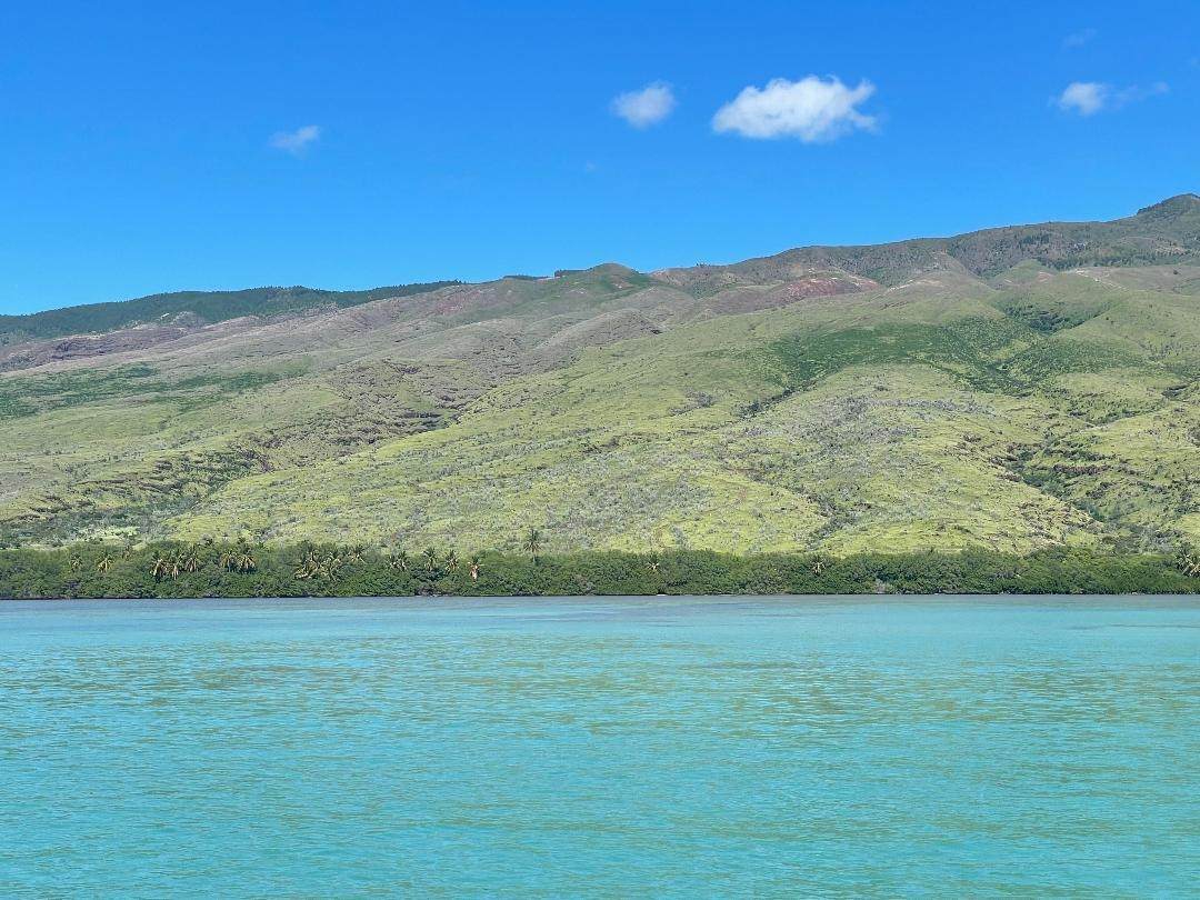 0 Kamehameha V Hwy - Photo 1
