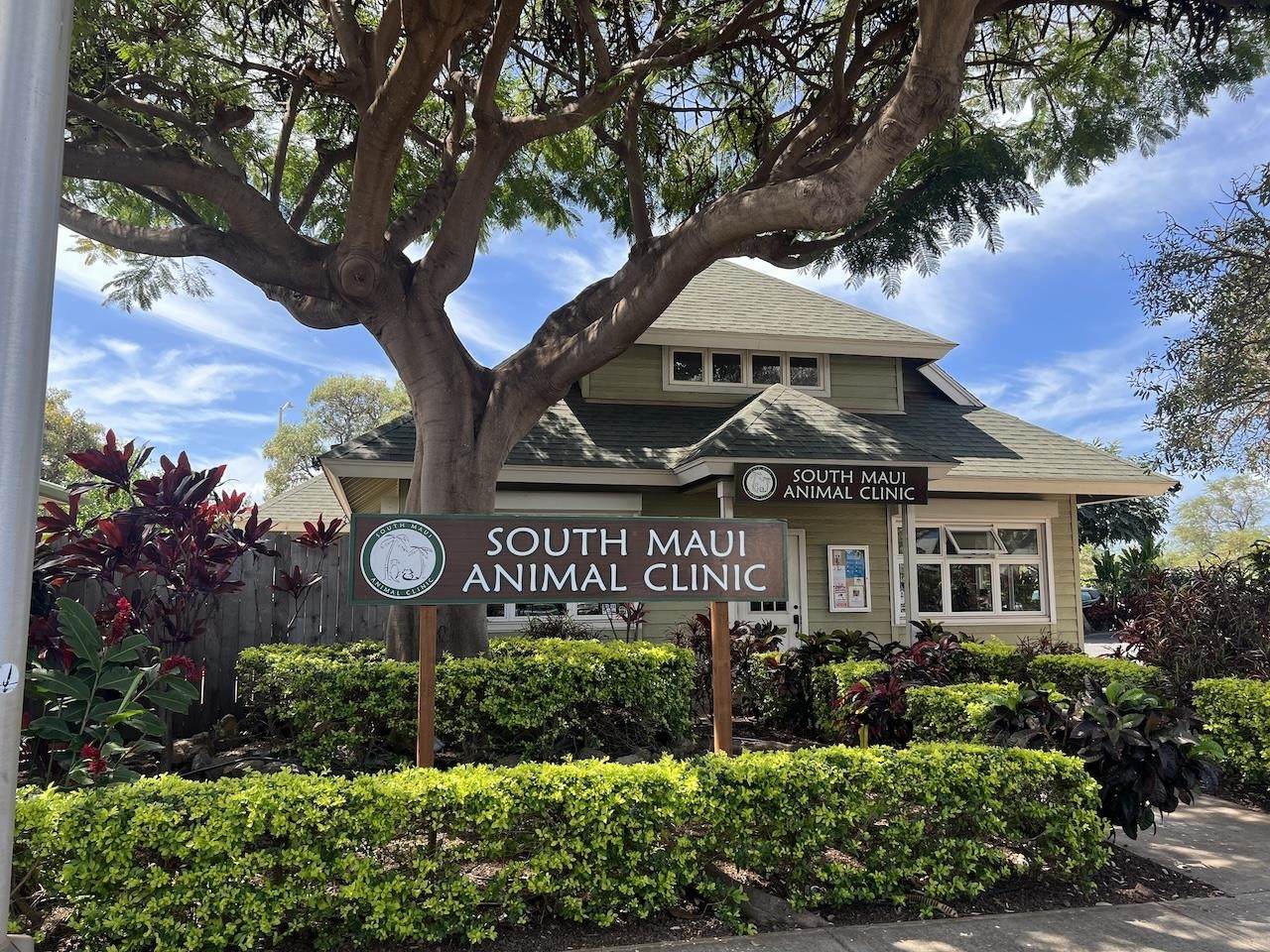 115 Kio Loop - Photo 1