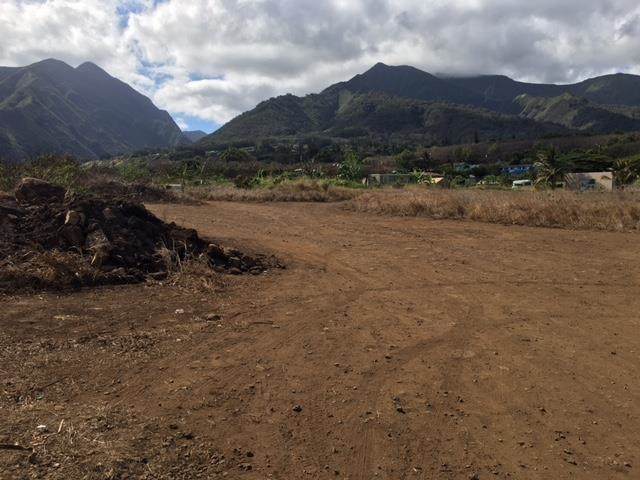 1503 Piihana Rd - Photo 1