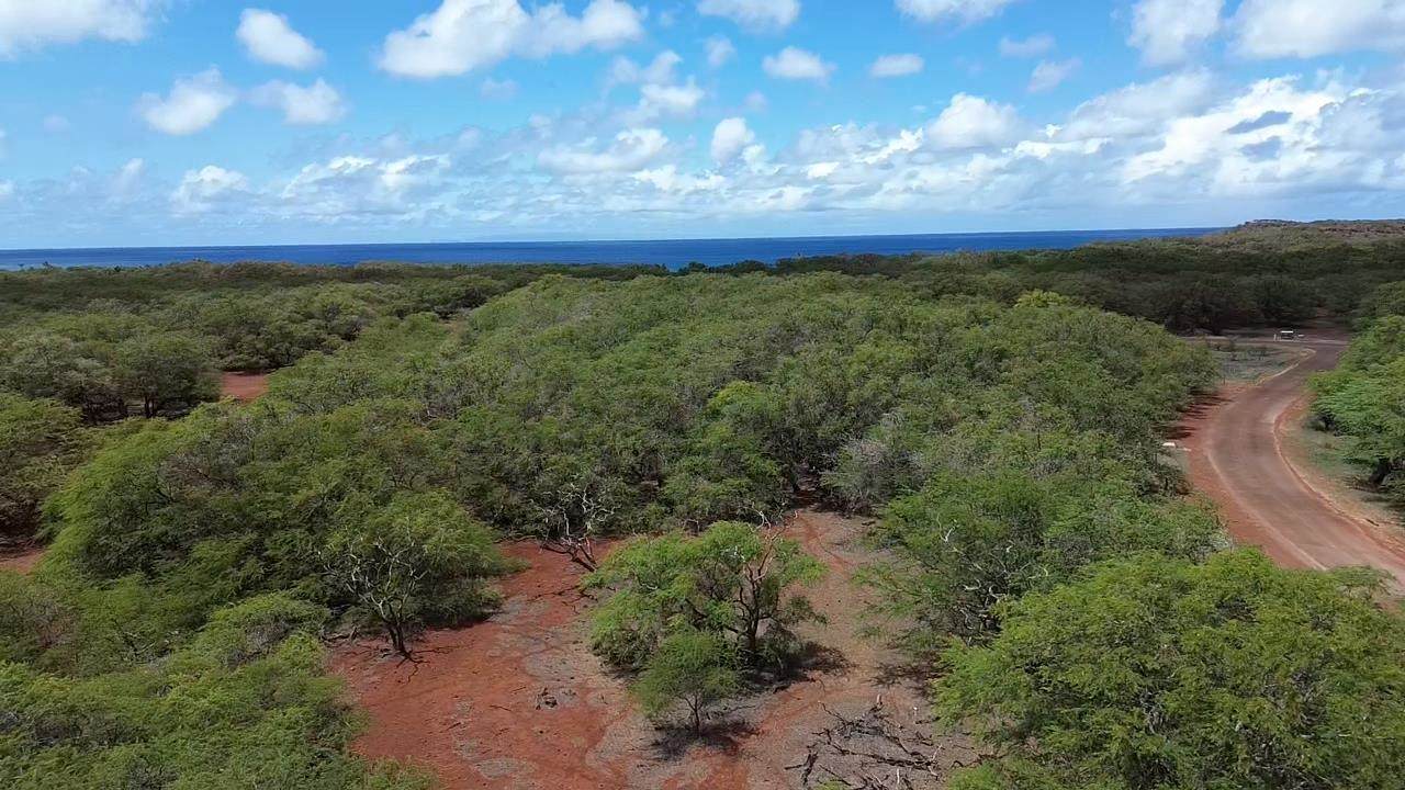 https://bt-photos.global.ssl.fastly.net/maui/1280_boomver_1_405596-2.jpg