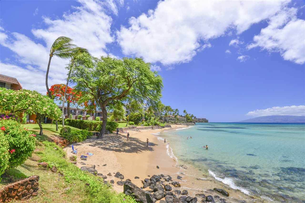 3959 Lower Honoapiilani Rd - Photo 1