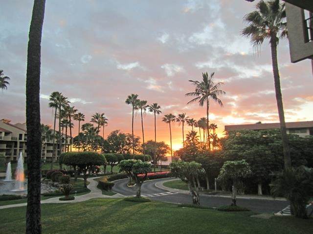 2695 Kihei Rd - Photo 1