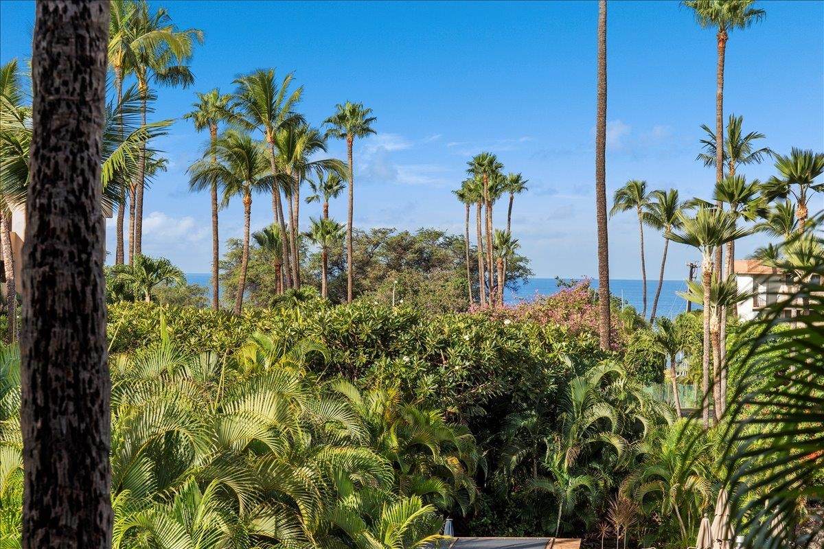 2695 Kihei Rd - Photo 1