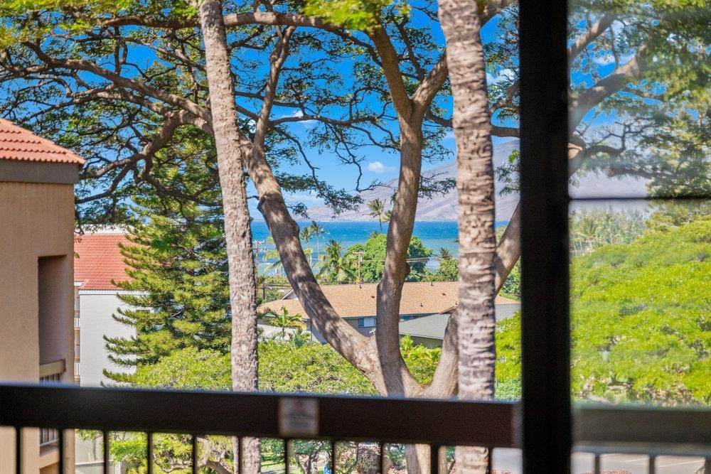 2191 Kihei Rd - Photo 1