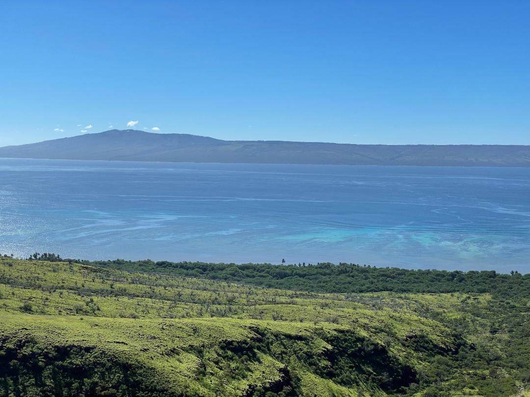 01 Kamehameha V Hwy - Photo 1