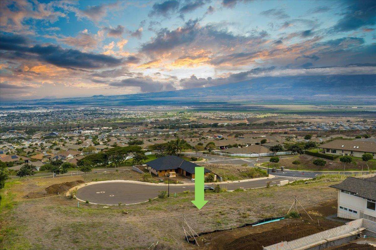 117 Hopo'i Pl - Photo 1