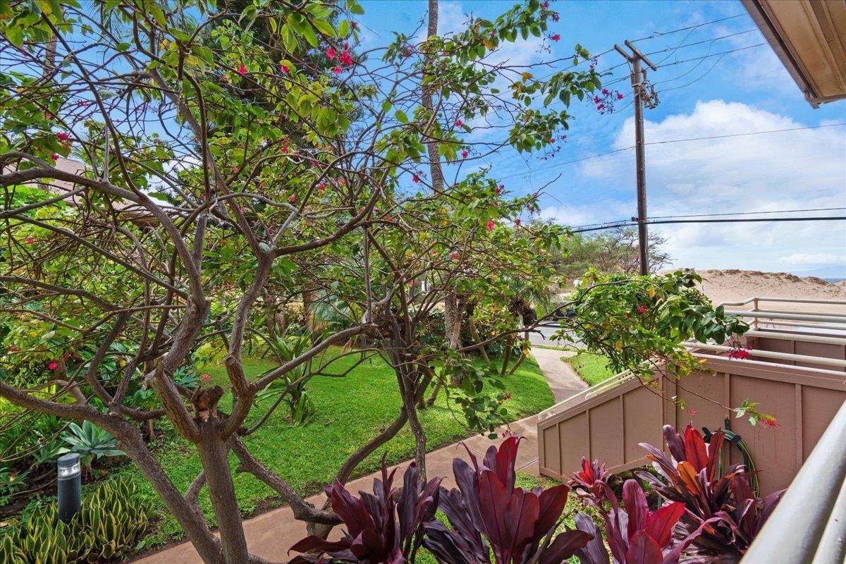 https://bt-photos.global.ssl.fastly.net/maui/orig_boomver_1_408746-2.jpg