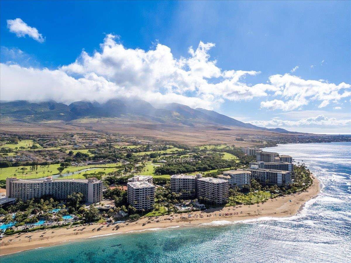 50 Nohea Kai Dr - Photo 1